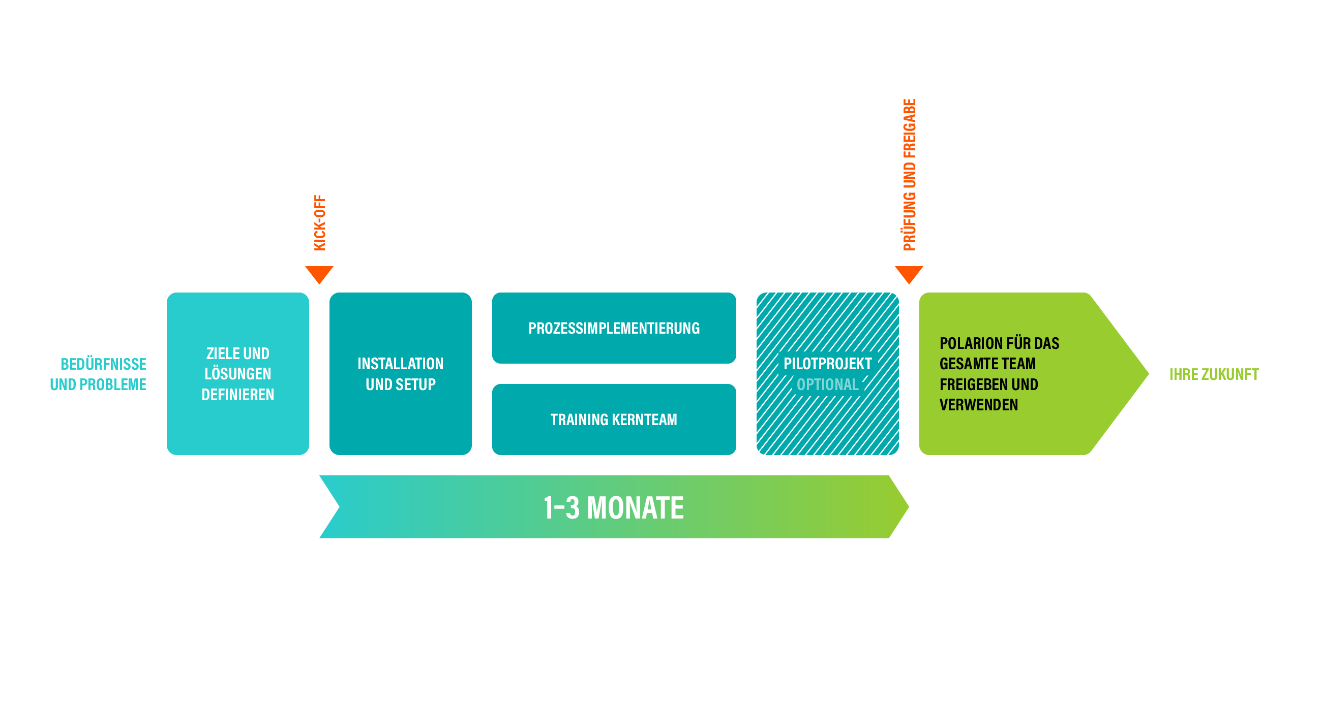 Polarion Rollout